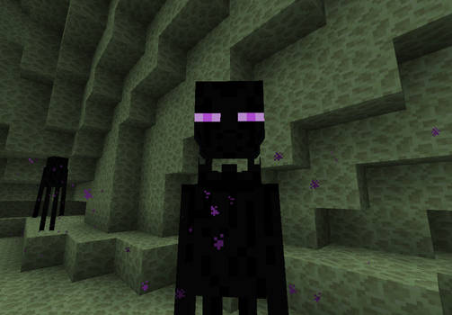 Hello Mr . Enderman