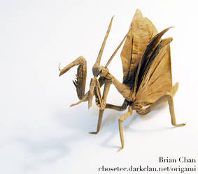 Flying Mantis Origami