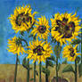 sunflowers 19.12.2013