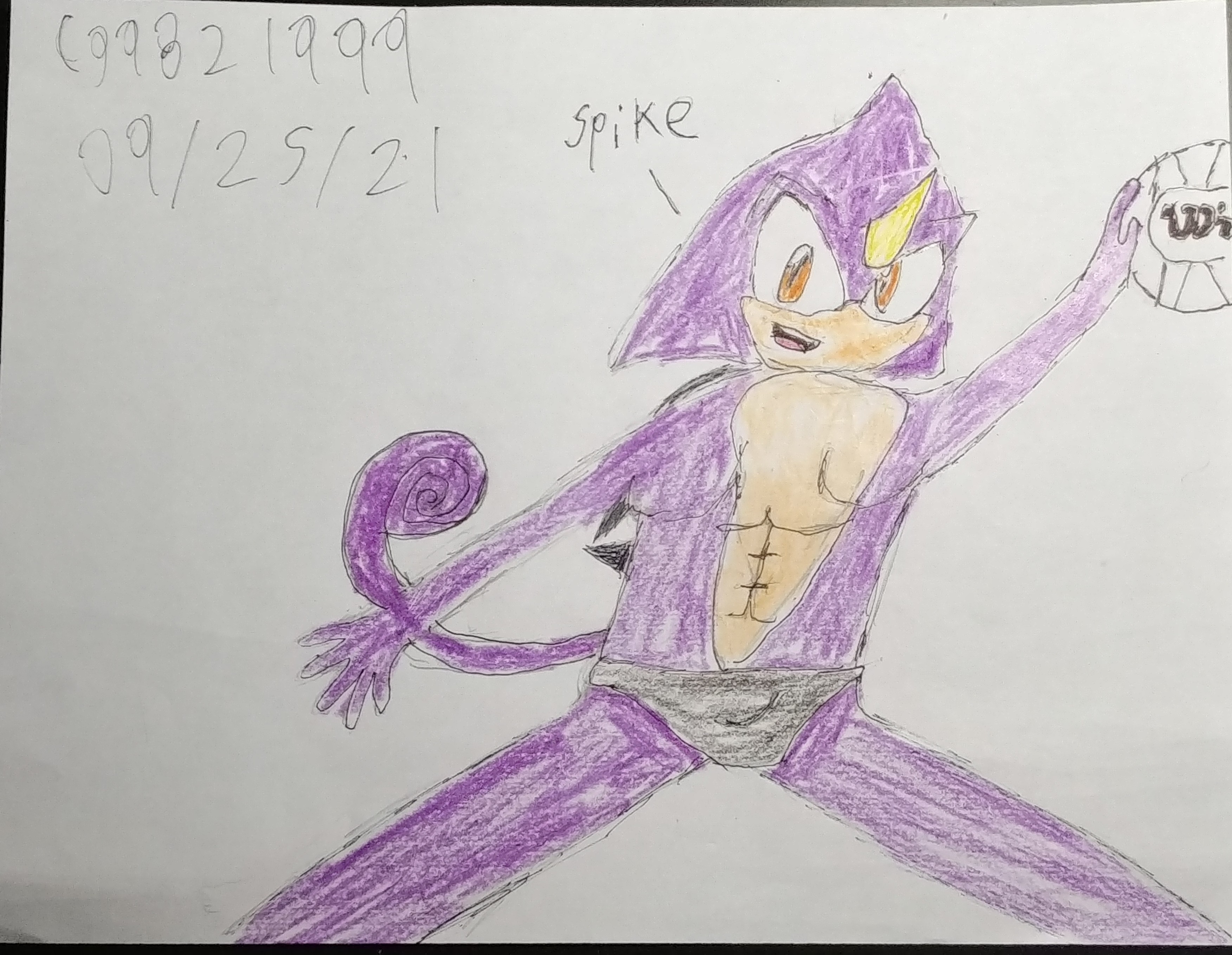 Swimsuit Espio