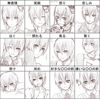 Expression Chart Allan