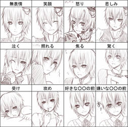 Expression Chart Allan