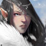 Snow elf