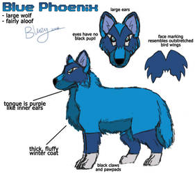 Blue Phoenix Character Sheet