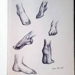 Feet Study