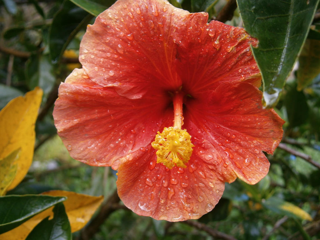 Magic forms by AlexStark98 on DeviantArt