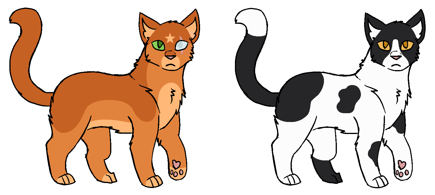 Firestar (AU), Warriors OC's Wiki