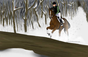 island winters by vaga-bonds island winters by vaga-bonds