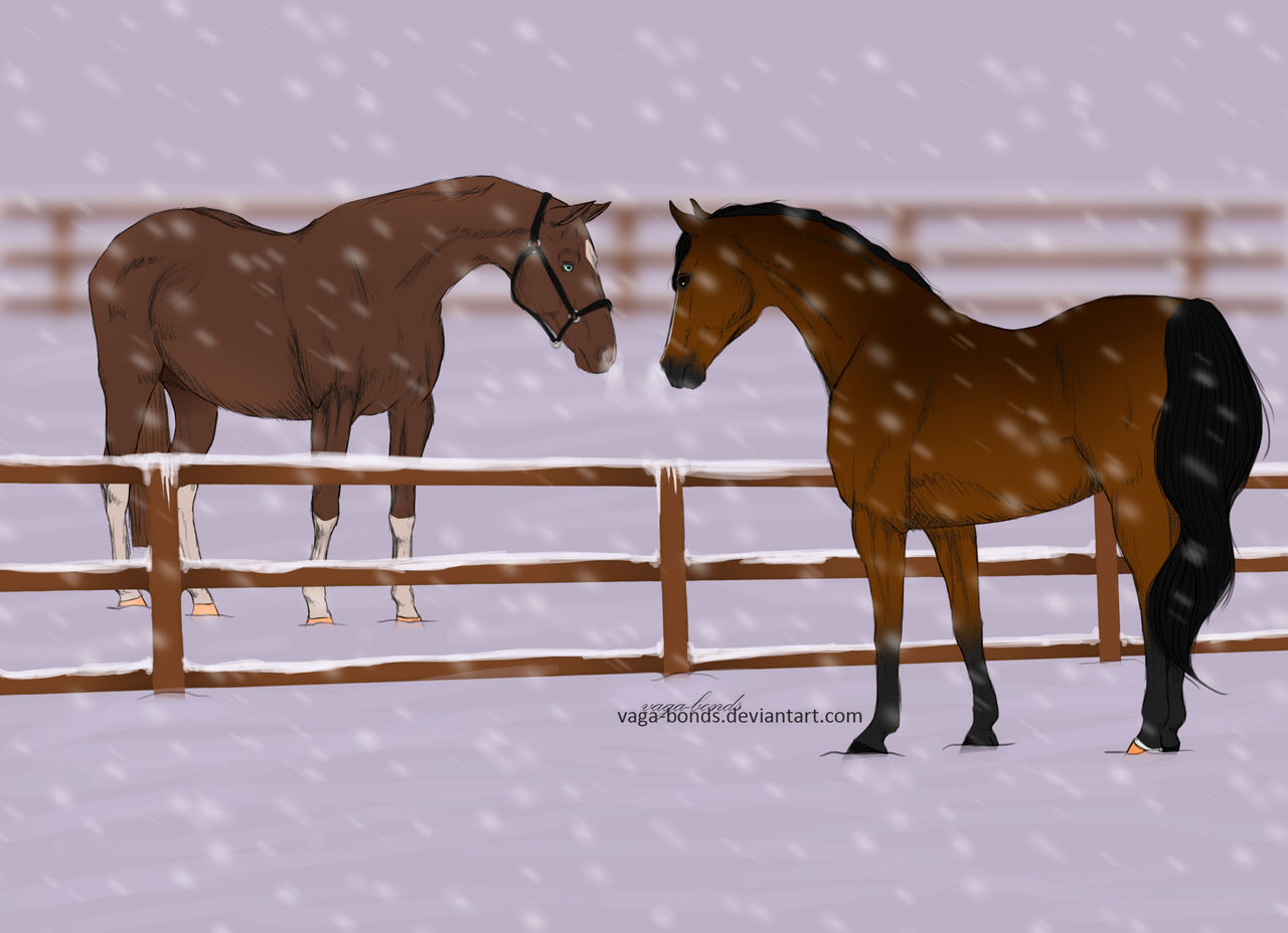 snowy dreams