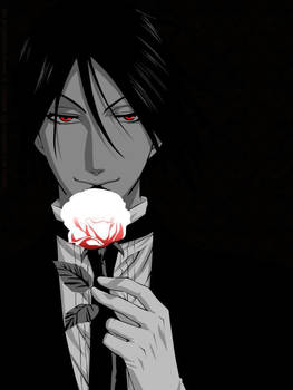 sebastian michaelis