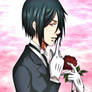 sebastian michaelis