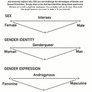 Gender + Sexuality Spectrum 2