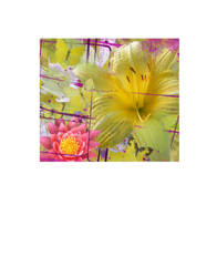 Flower Collage yellow pink