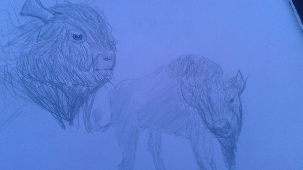 Clockwork Buffalo Buffalo study by FaltedClockwerk on DeviantArt