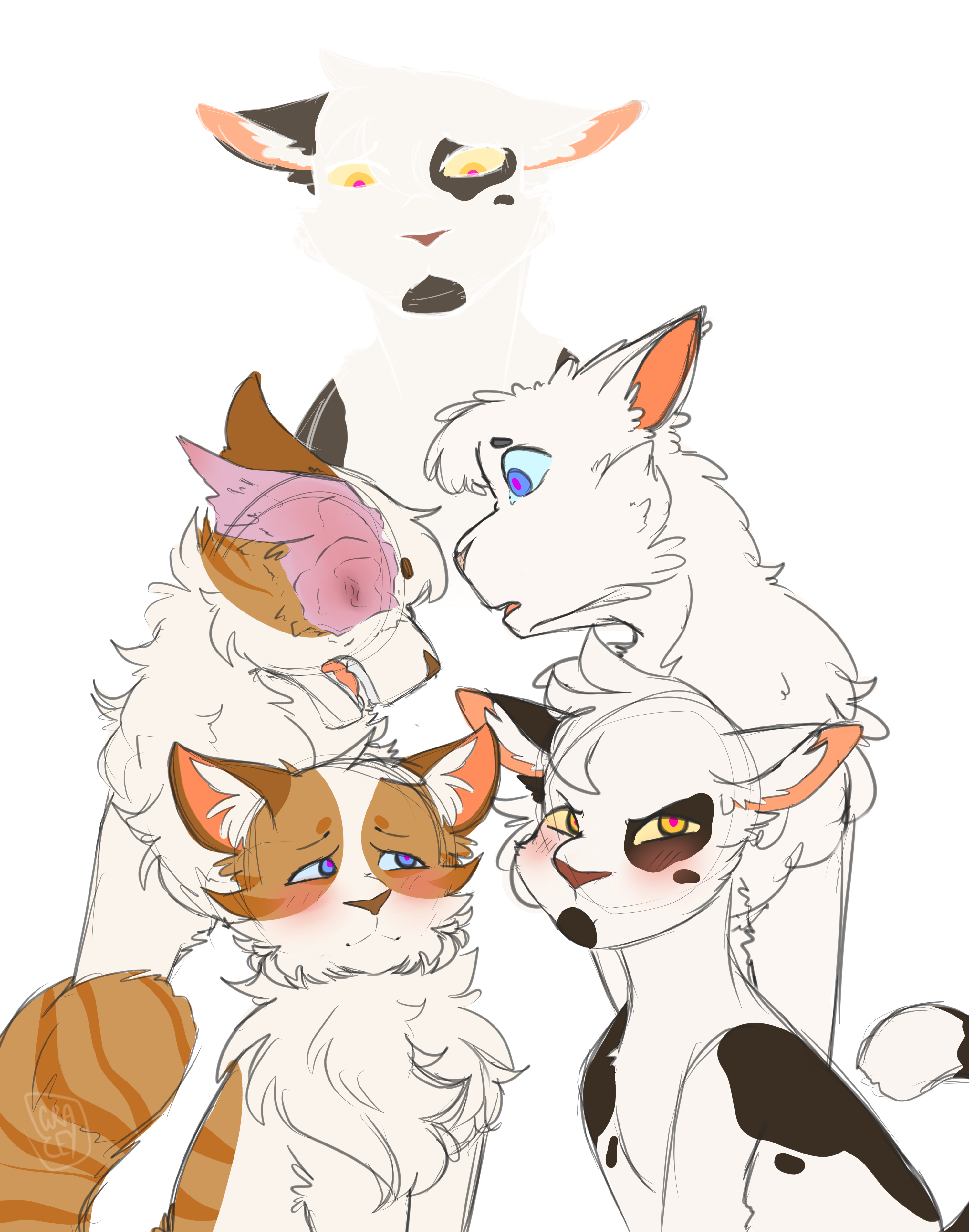 Beautiful Now, whitewing, cloudtail, brightheart, ashfur, warrior