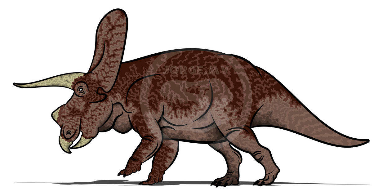 torosaurus latus by on DeviantArt