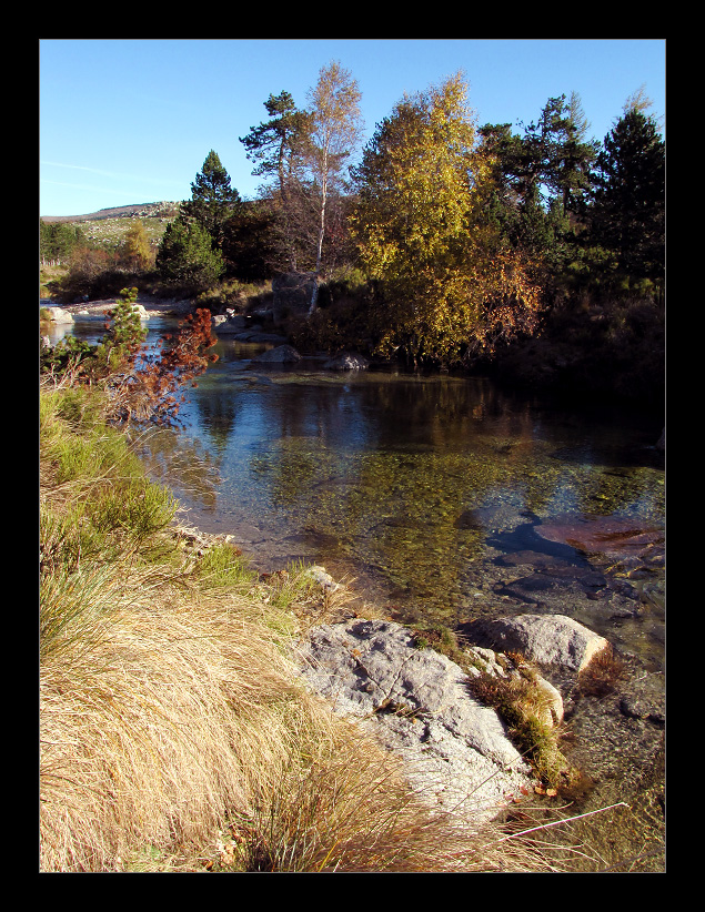 Autumn river