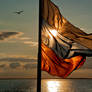 Flag and Sun