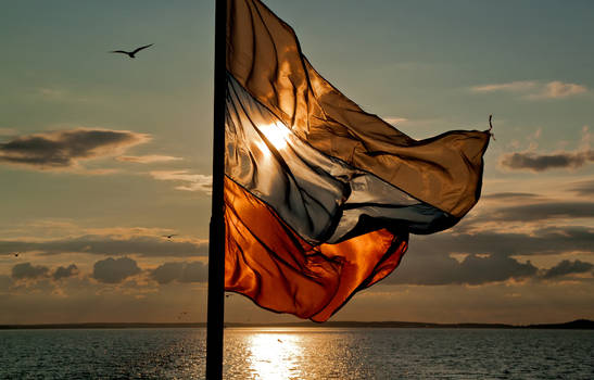 Flag and Sun