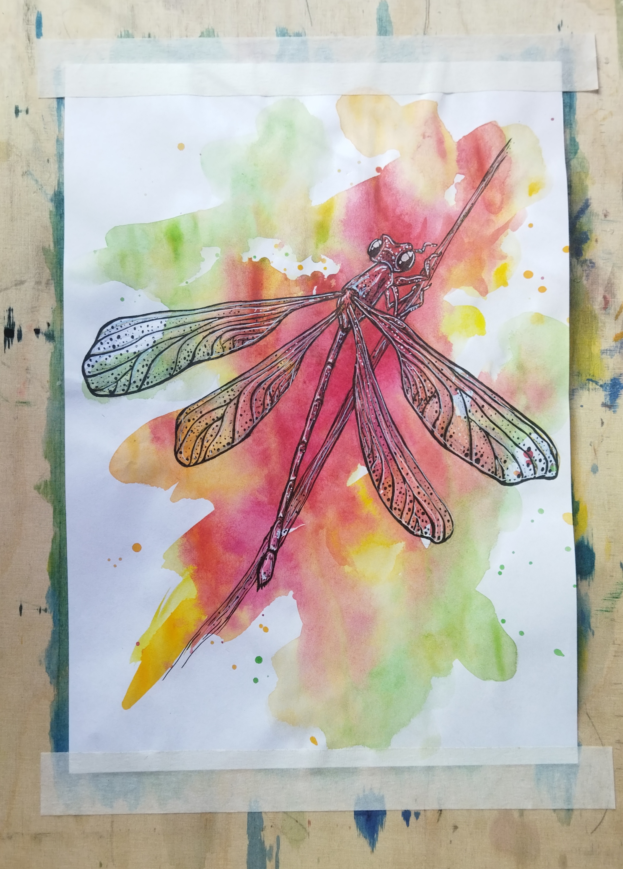 Dragonfly Deviantart Dragonfly by erytryl on DeviantArt