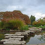 Herastrau Park Oasis