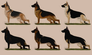 OPEN GSD Imports 5/6
