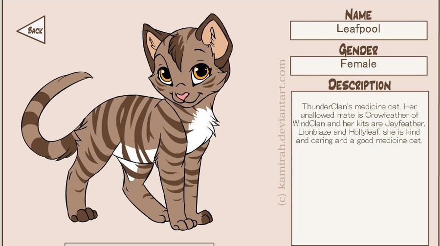 Kitten Maker Kitten Maker