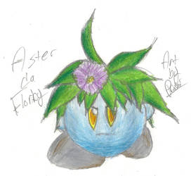 Aster da Florby