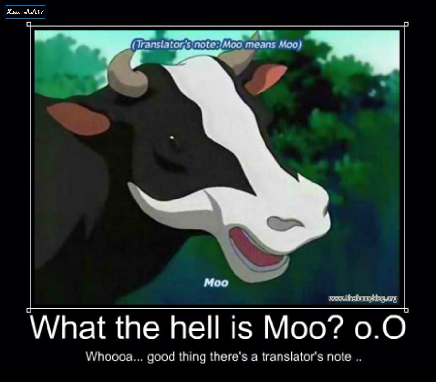 Translate Moo