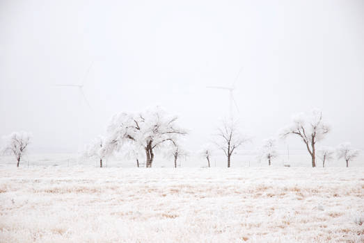 Wind Turbine and Icy Trees