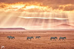 Ngorongoro Crater, Tanzania by SonnarGauss Ngorongoro Crater, Tanzania by SonnarGauss