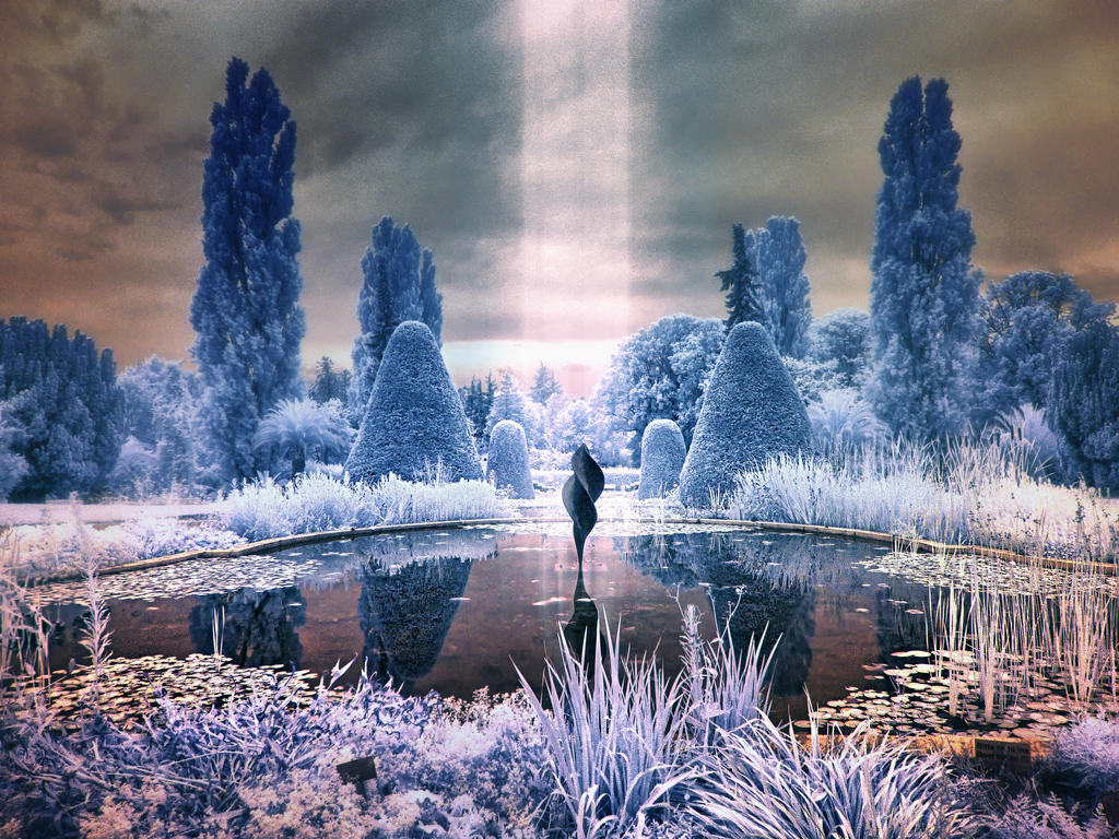 MAXIMUM PHOTOSHOP (r72 IR Post-Processing Contest) by SteveCampbell MAXIMUM PHOTOSHOP (r72 IR Post-Processing Contest) by SteveCampbell