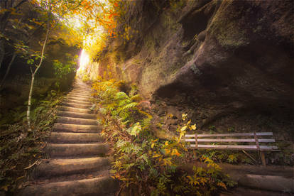 Autumn in the Blue Mountains