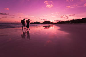 Horseshoe Bay Beach, Bermuda - Full Spectrum