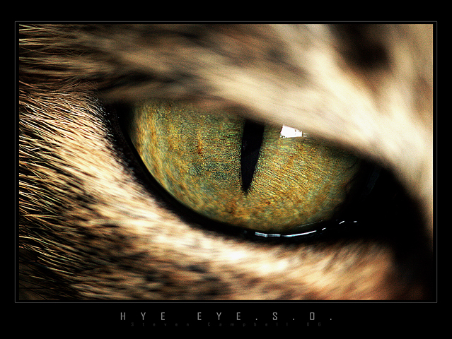 HYE EYE.S.O.