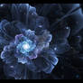 Ice Flower