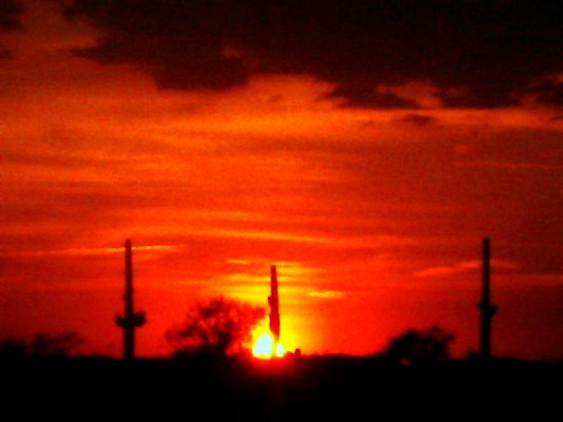 Tucson Sun by Shutterbug37 by ArizonaPhotography on DeviantArt