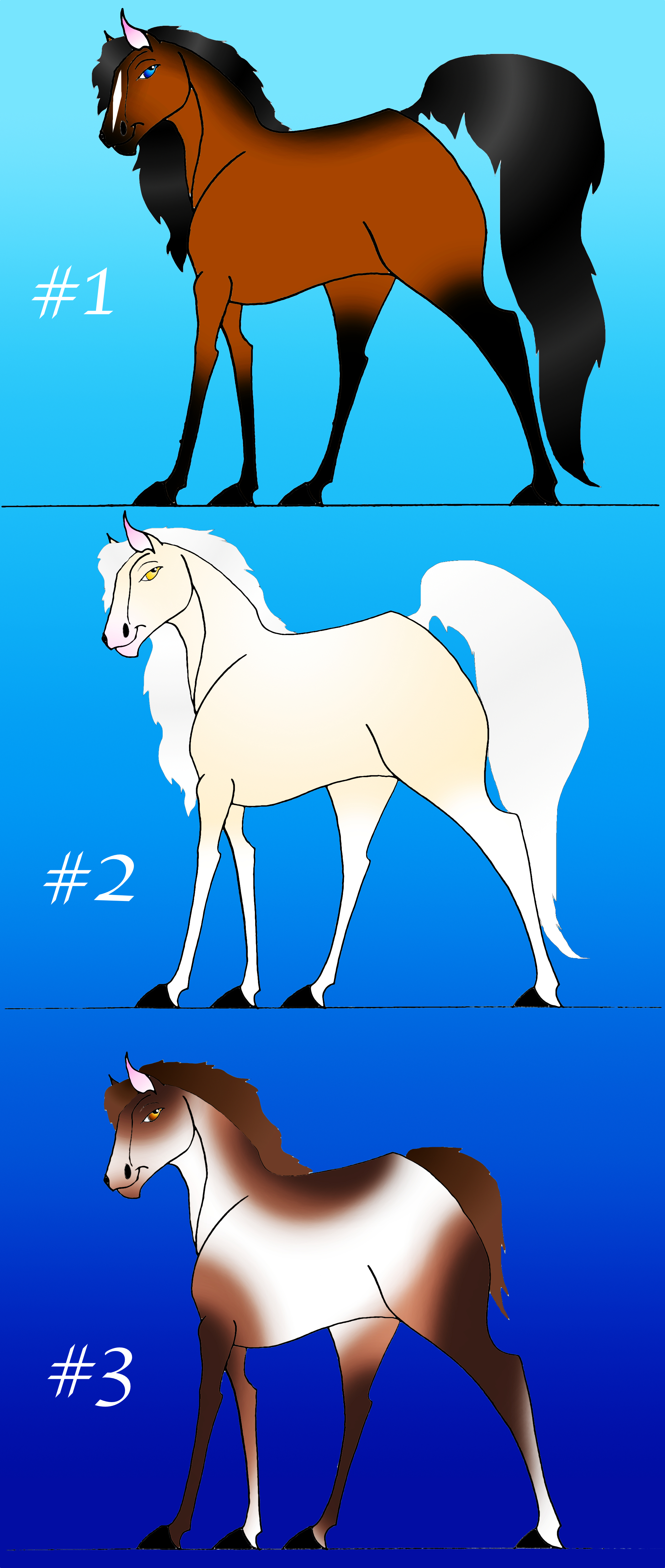 Point Horse Adoptables