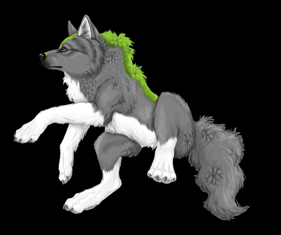 FOR SALE Wolf Adopt