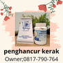 Penghancur kerak 