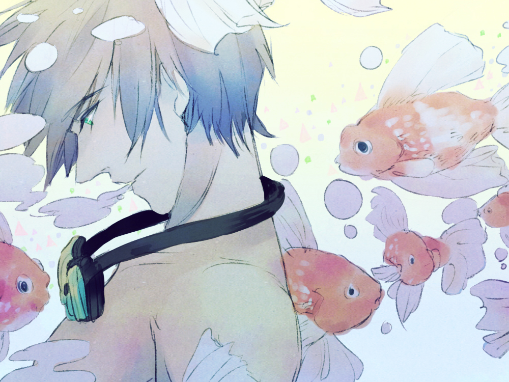 Makoto's Goldenfish