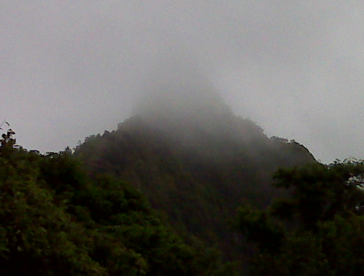 Misted Mountain