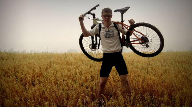 golden field in Novopokrovka