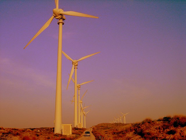 windmills