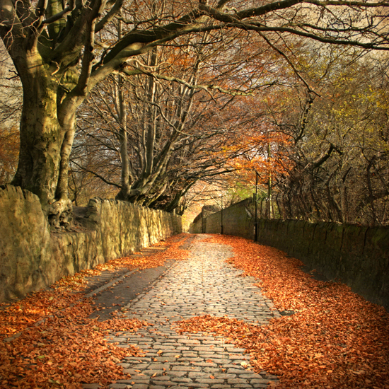 autumn walk