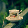 Monet_ Manet tea