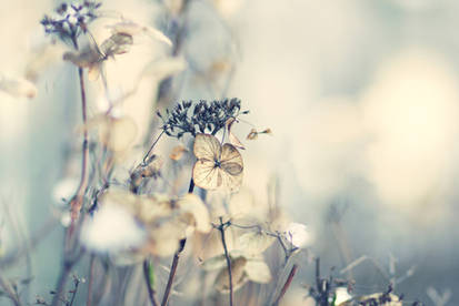 enjoy solitude