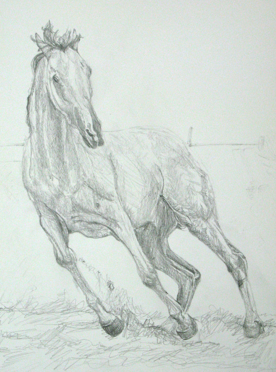 Quick Horse