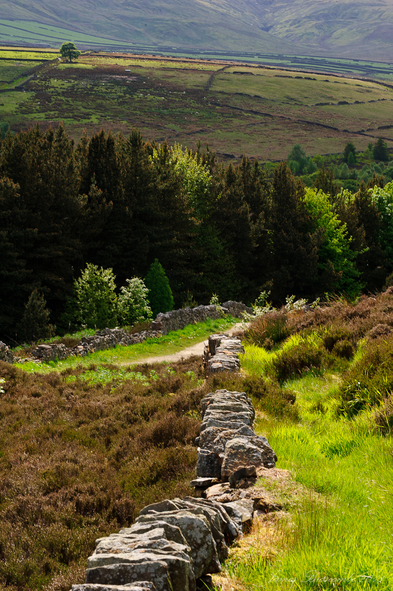 The path to Digley