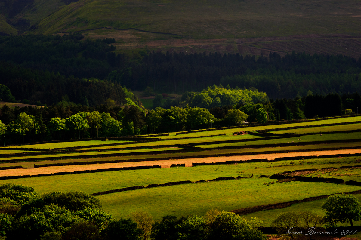 Holme Valley fields